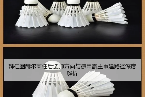 拜仁图赫尔离任后选帅方向与德甲霸主重建路径深度解析